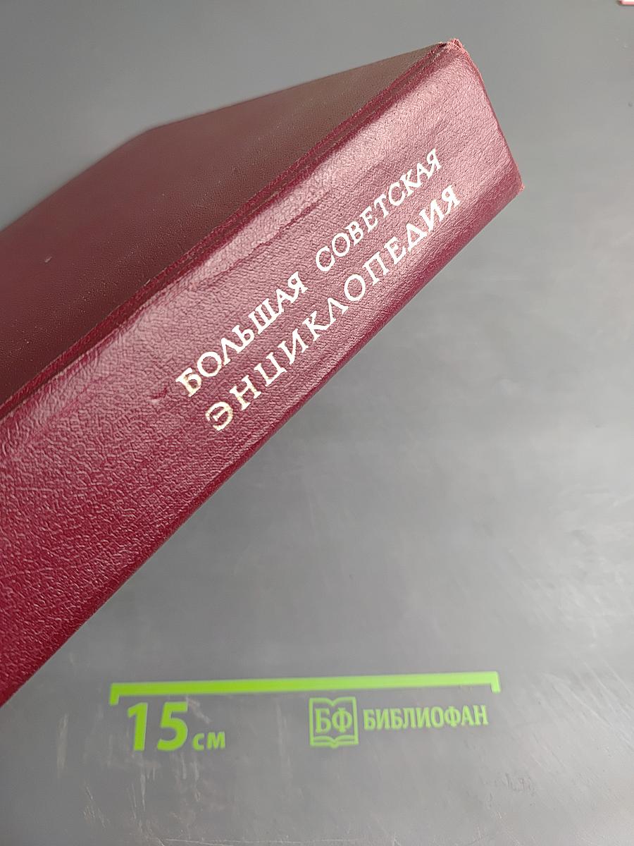 Большая советская энциклопедия. Том 23: САФЛОР — СОАН