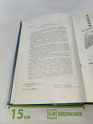 Капитаны ищут путь