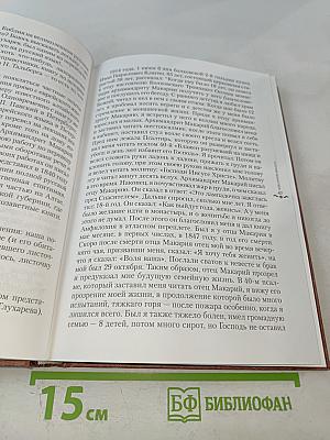 Всех скорбящих радости. Книга II