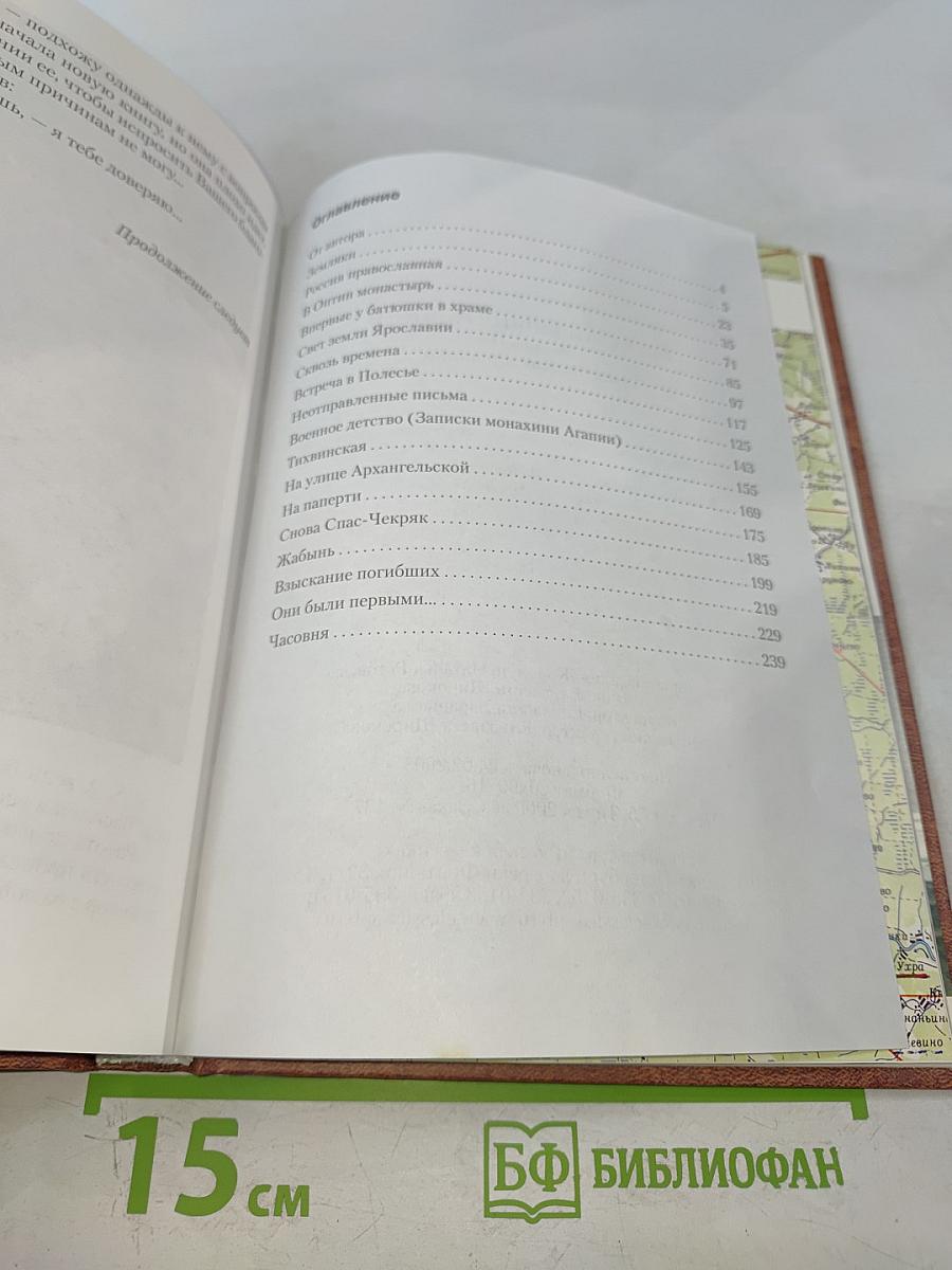 Всех скорбящих радости. Книга II