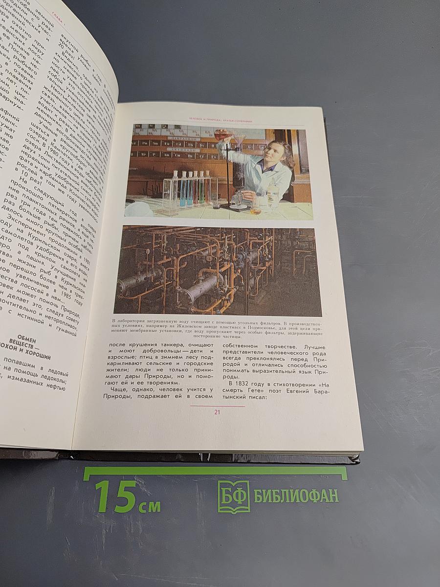 Превращения черного дракона