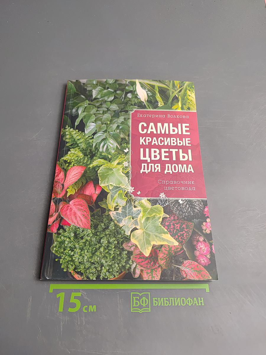 Самые красивые цветы для дома