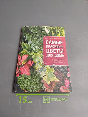 Самые красивые цветы для дома