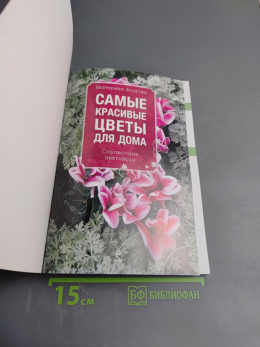 Самые красивые цветы для дома