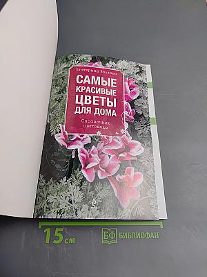 Самые красивые цветы для дома