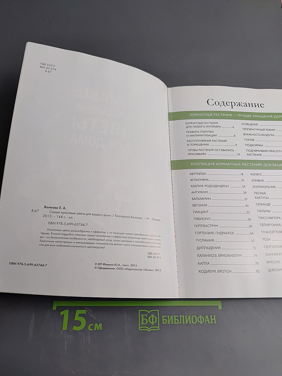 Самые красивые цветы для дома