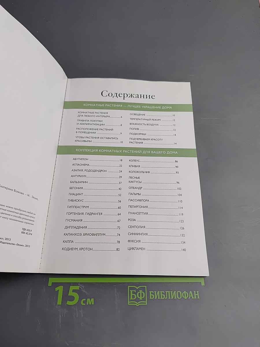 Самые красивые цветы для дома