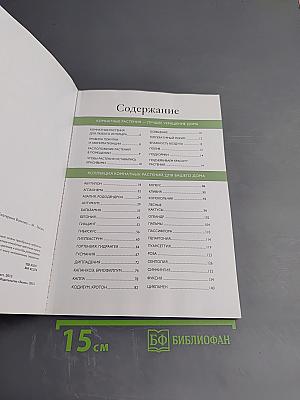 Самые красивые цветы для дома