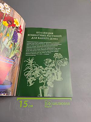 Самые красивые цветы для дома