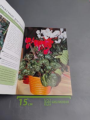 Самые красивые цветы для дома