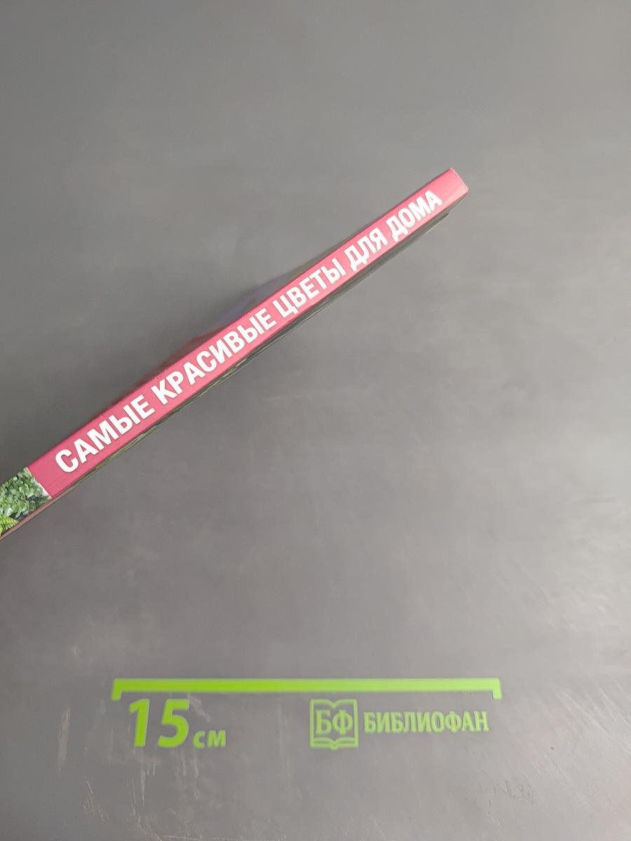 Самые красивые цветы для дома