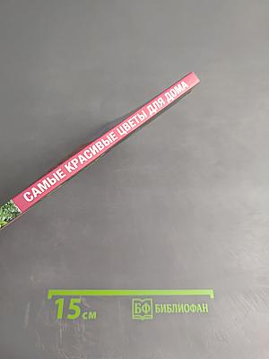 Самые красивые цветы для дома