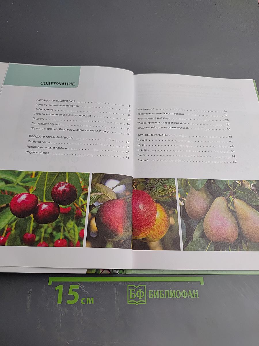 Фруктовый сад. Иллюстрированный справочник