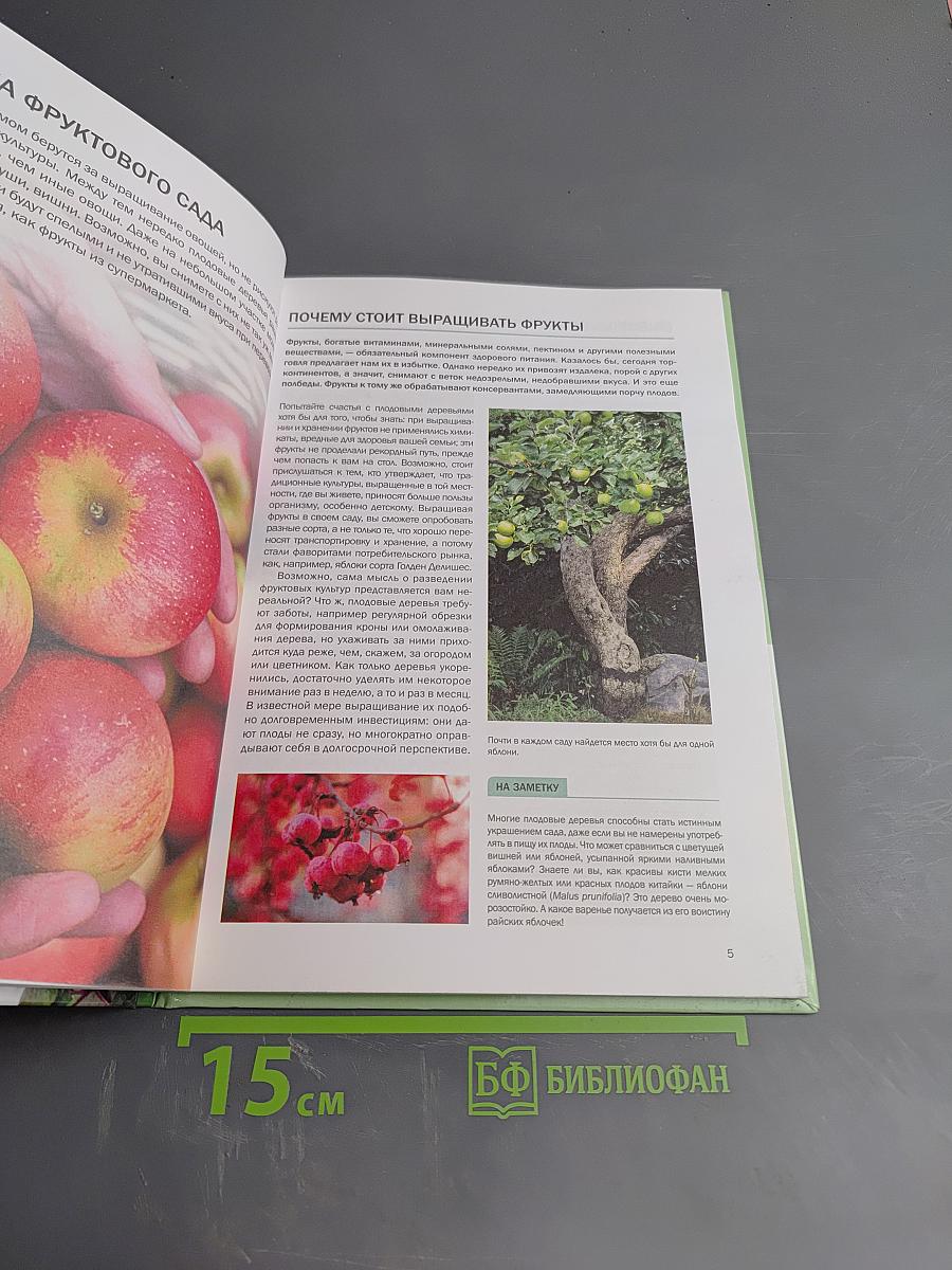 Фруктовый сад. Иллюстрированный справочник