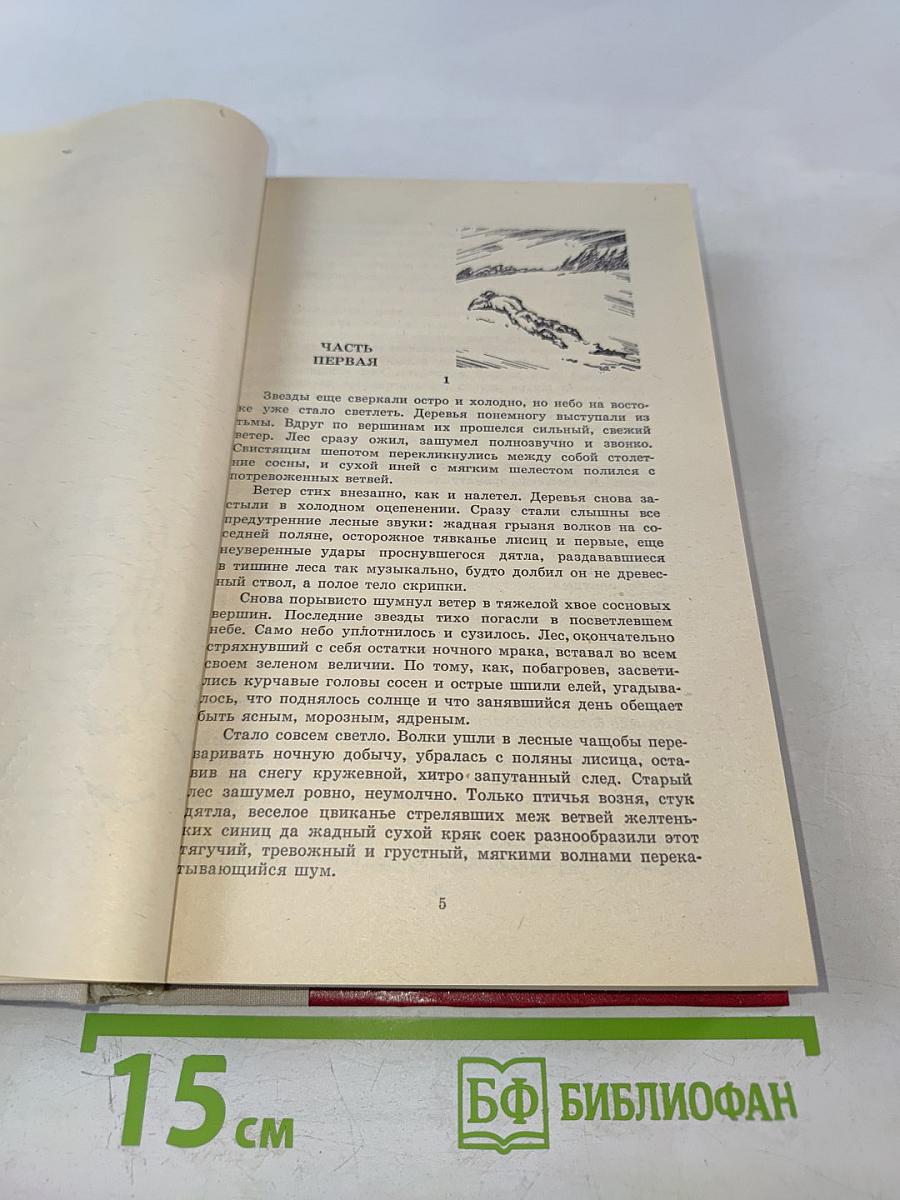 Повесть о настоящем человеке. Доктор Вера