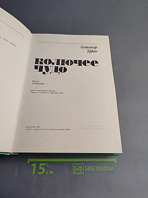 Колючее чудо