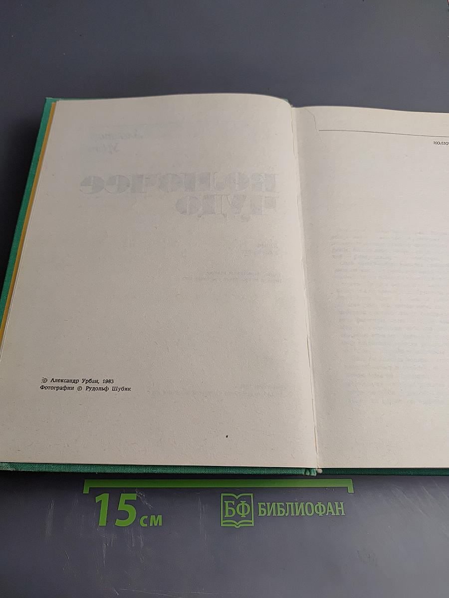 Колючее чудо