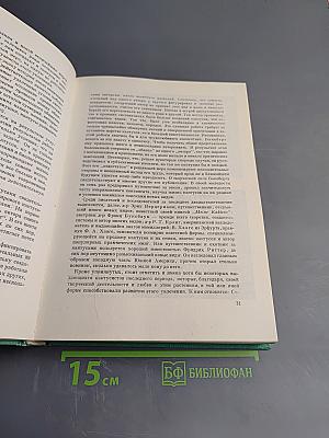 Колючее чудо