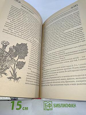 Профилактика и лечение заболеваний верхних дыхательных путей и органов дыхания методами фитотерапии