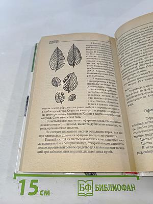 Профилактика и лечение заболеваний верхних дыхательных путей и органов дыхания методами фитотерапии