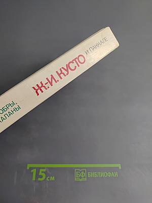 Лососи, бобры, каланы