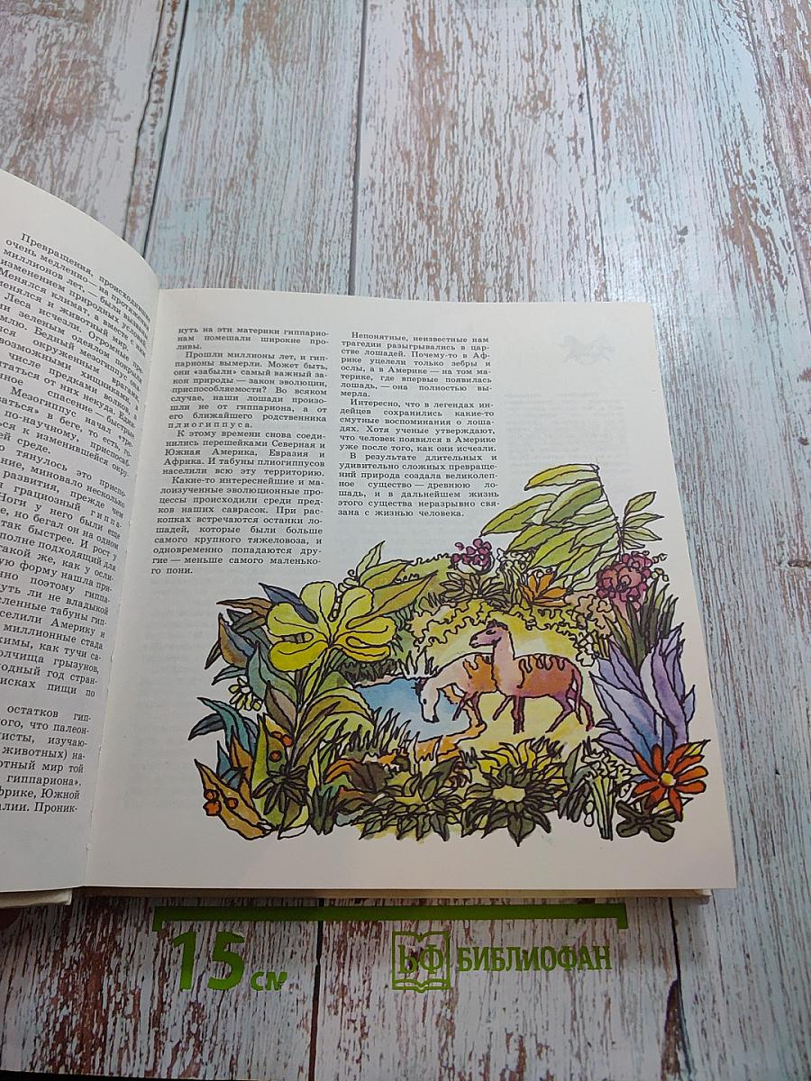 Прощайте и здравствуйте, кони!