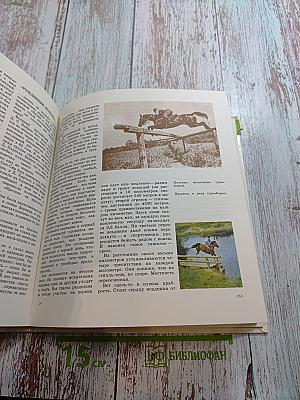 Прощайте и здравствуйте, кони!