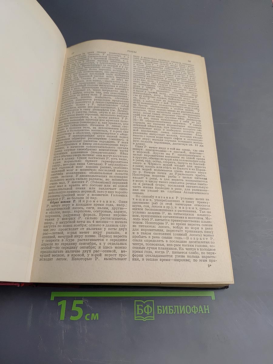 Большая Советская Энциклопедия. Том Пятидесятый. Ручное огнестрельное оружие – Серицит