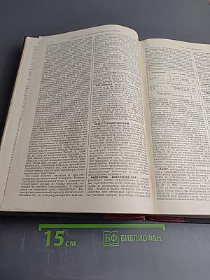 Том Сорок Первый (Наган - Нидерландское искусство)