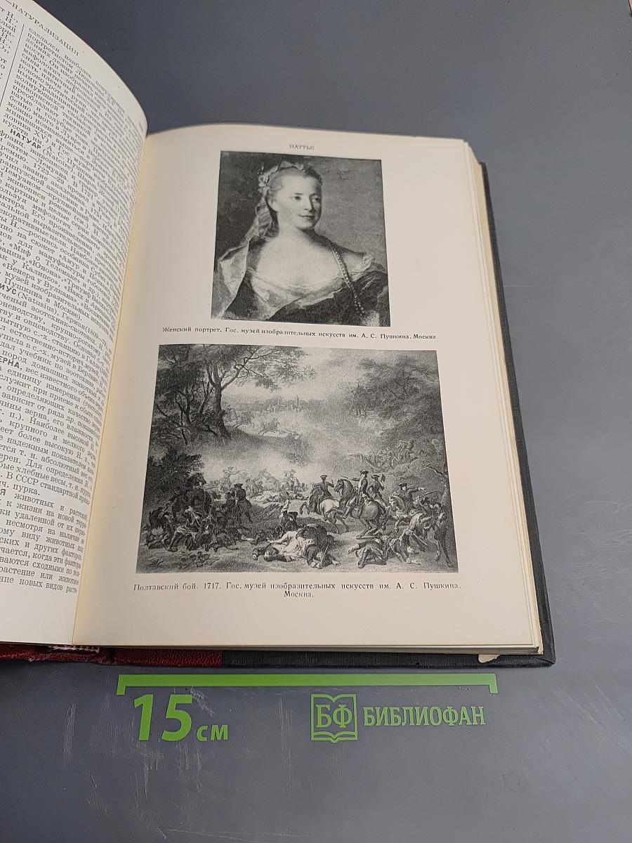 Том Сорок Первый (Наган - Нидерландское искусство)