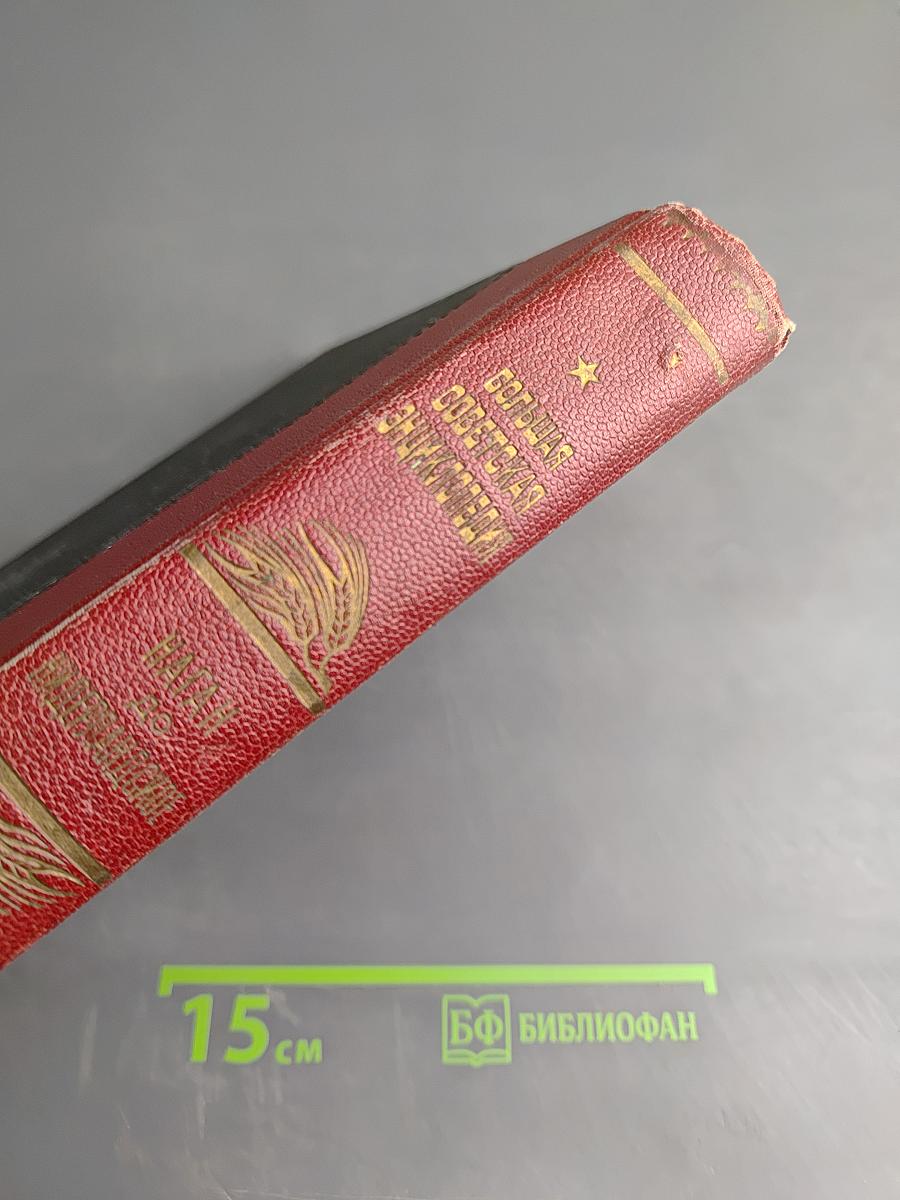 Том Сорок Первый (Наган - Нидерландское искусство)