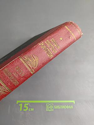 Том Сорок Первый (Наган - Нидерландское искусство)