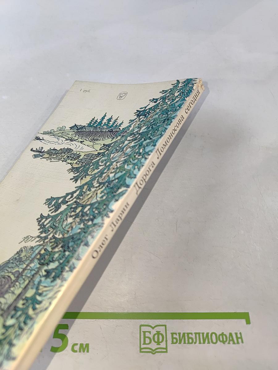 Дорога Ломоносова сегодня