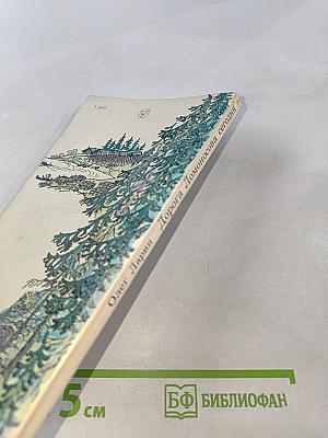 Дорога Ломоносова сегодня