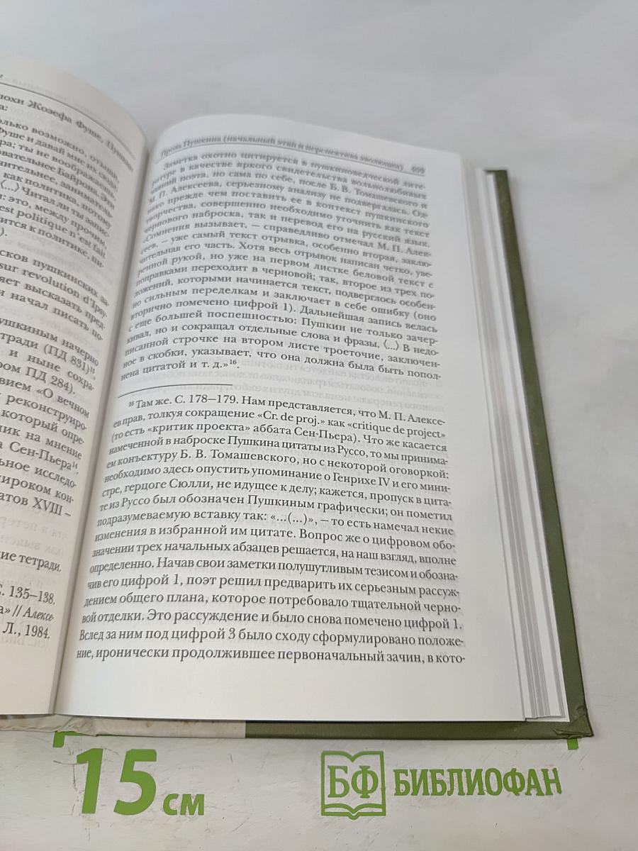 Пушкинская перспектива