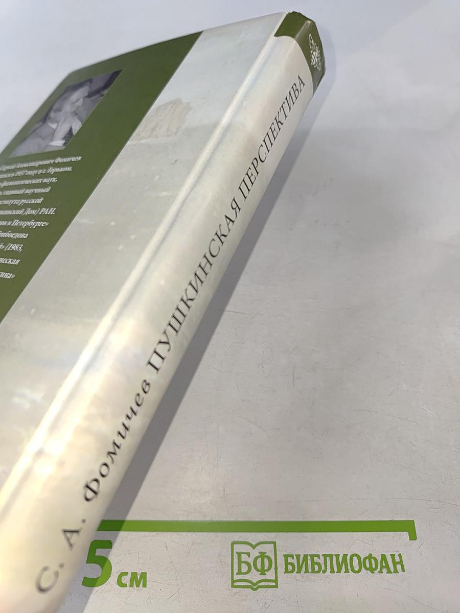 Пушкинская перспектива