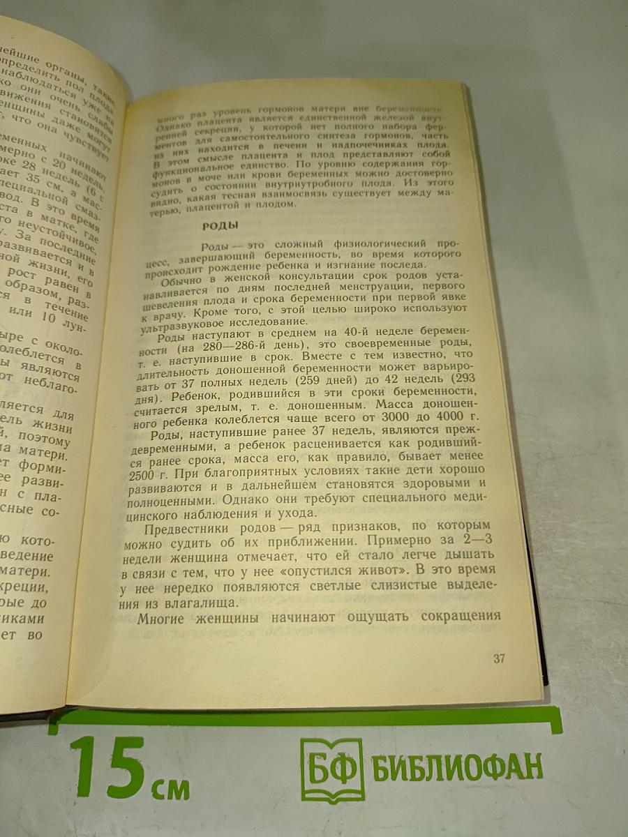 Все о женщине или Женщина - это все