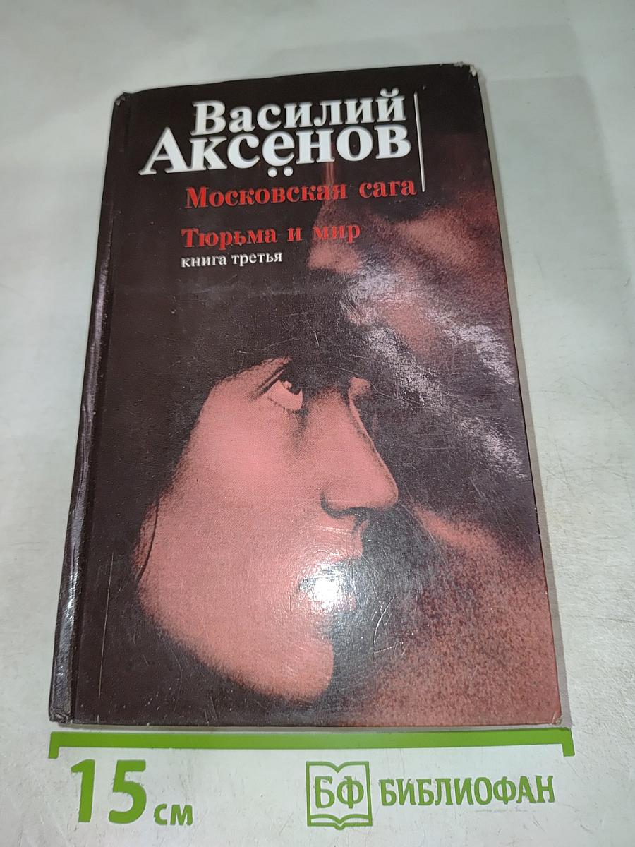 Тюрьма и мир. Книга третья