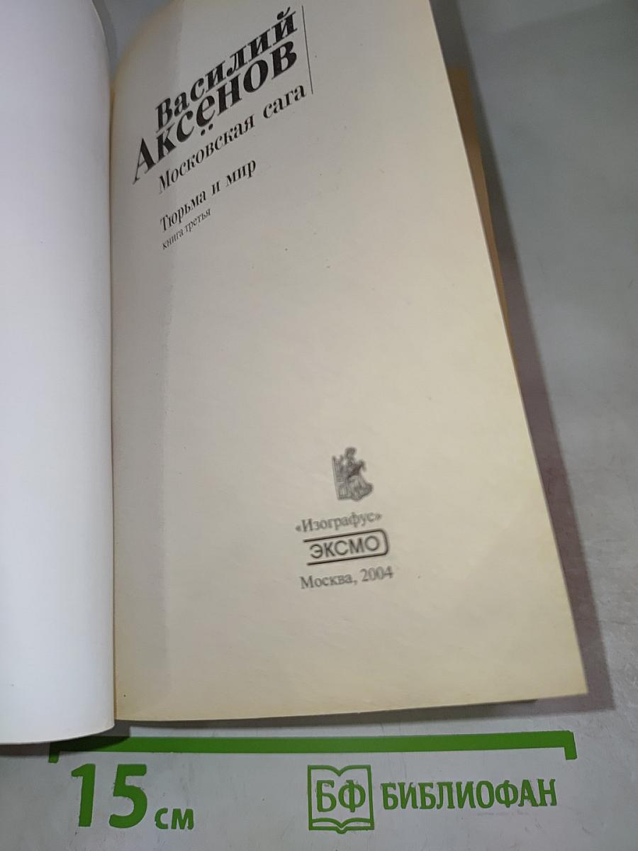 Тюрьма и мир. Книга третья