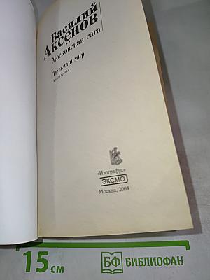 Тюрьма и мир. Книга третья