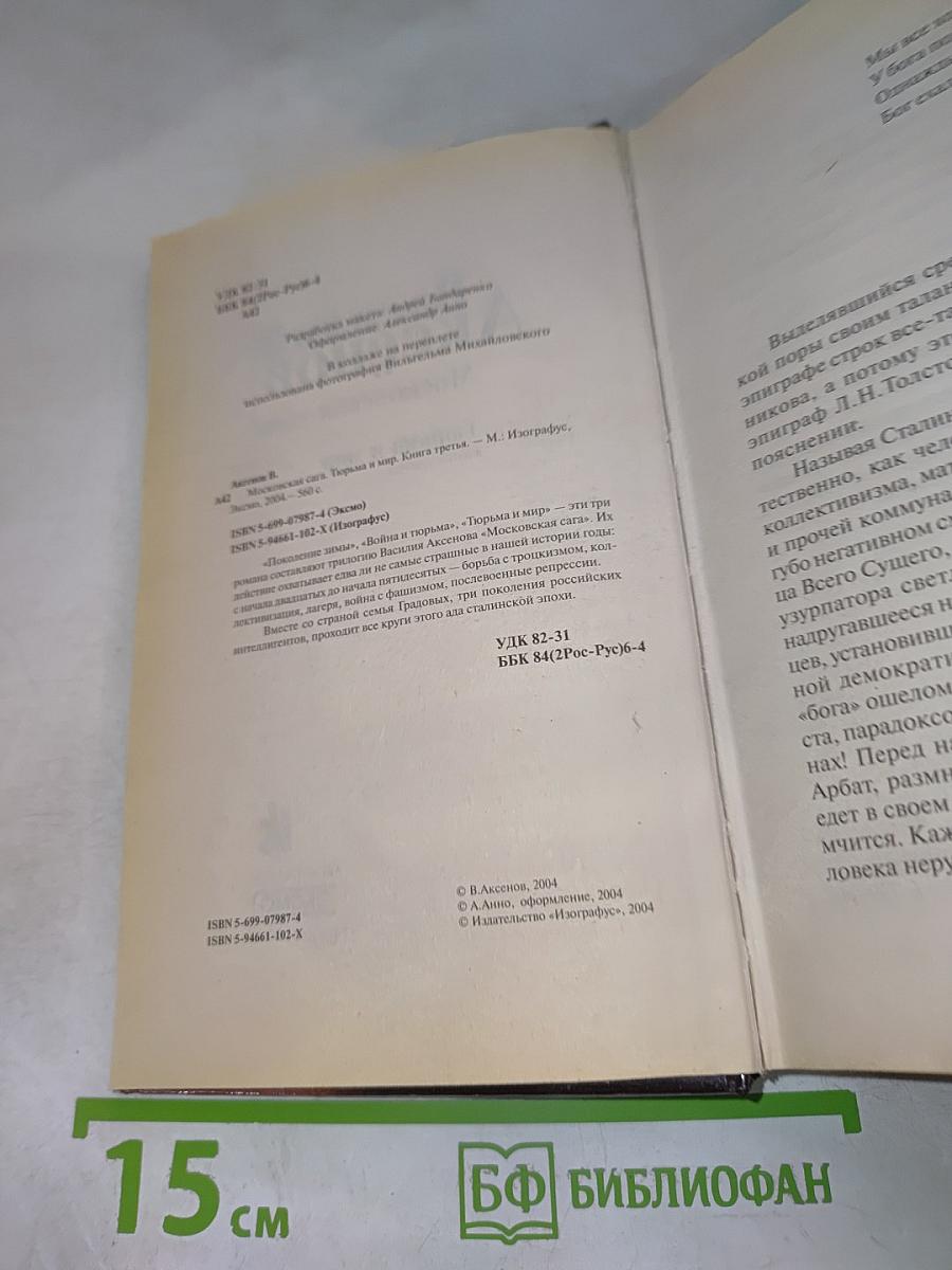 Тюрьма и мир. Книга третья