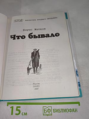 Что бывало