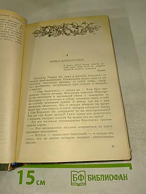 Истории любви в истории Франции. Книга 2: В кругу королей и фавориток. От Великого Конде до Короля-Солнца