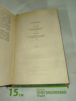 Истории любви в истории Франции. Книга 2: В кругу королей и фавориток. От Великого Конде до Короля-Солнца
