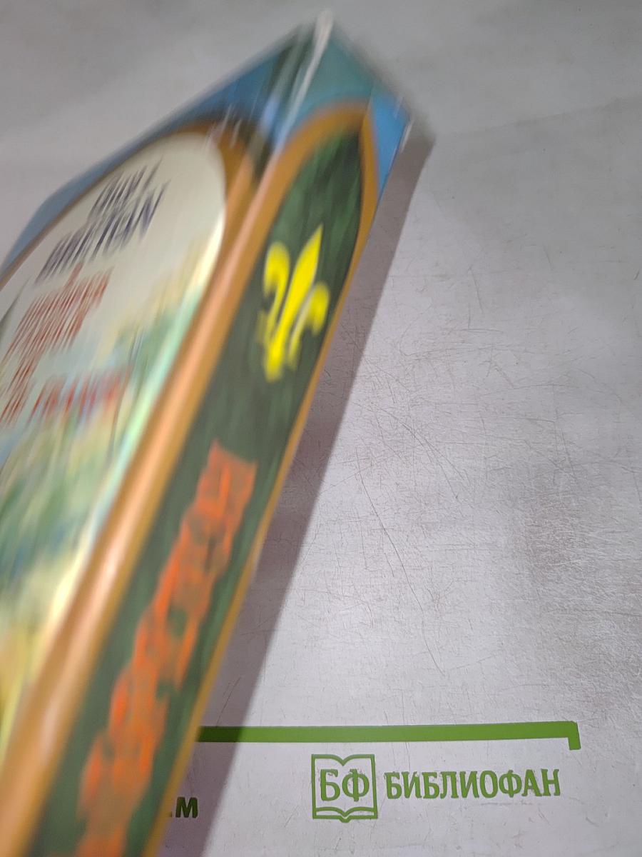 Истории любви в истории Франции. Книга 2: В кругу королей и фавориток. От Великого Конде до Короля-Солнца