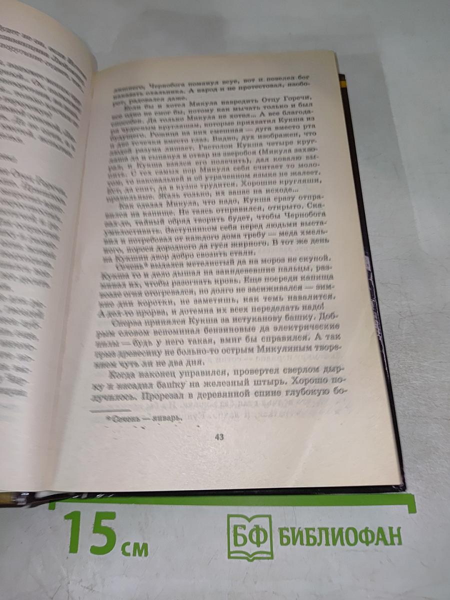 Шаман Всея Руси. Книга 2. Родина слонов