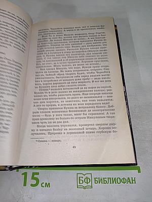 Шаман Всея Руси. Книга 2. Родина слонов
