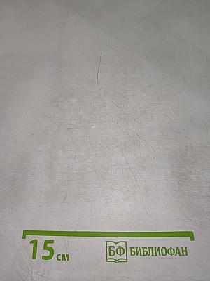 Дневник и память