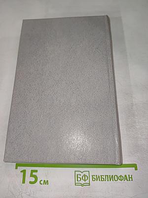 Дневник и память