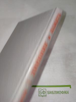 Дневник и память